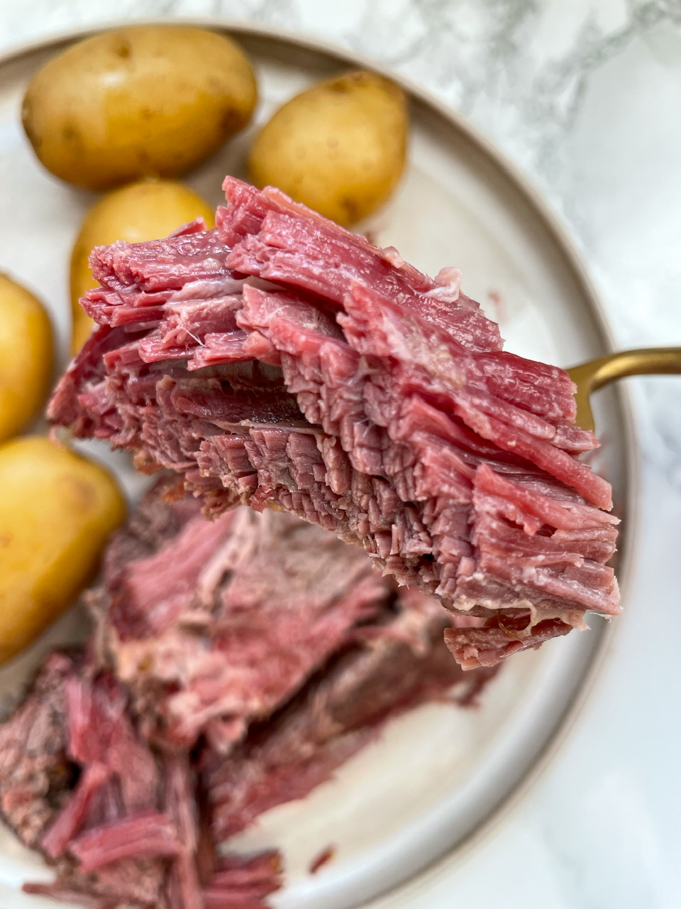 Corned beef in discount pressure cooker with beer