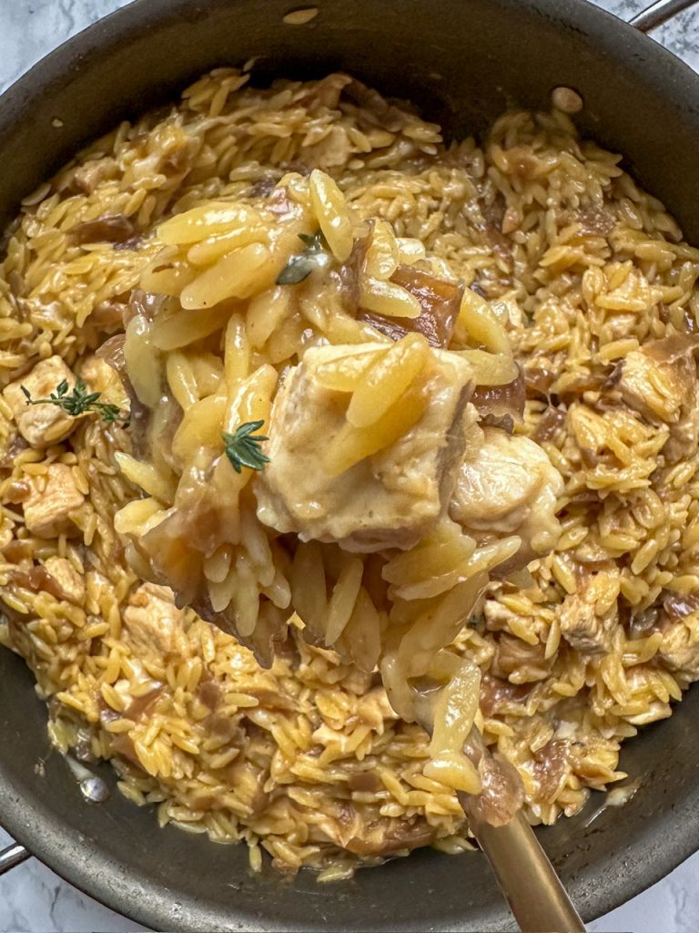 French Onion Chicken and Pasta with caramelized onions, chicken breast, and orzo