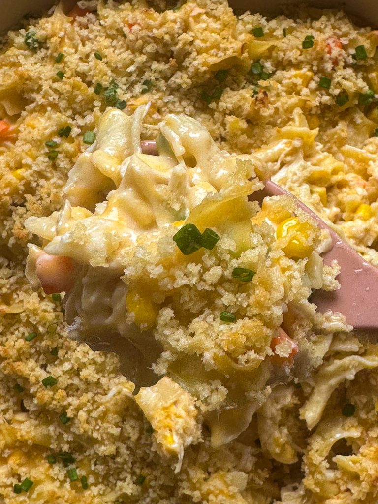 creamy chicken noodle soup topped with crispy panko breadcrumbs